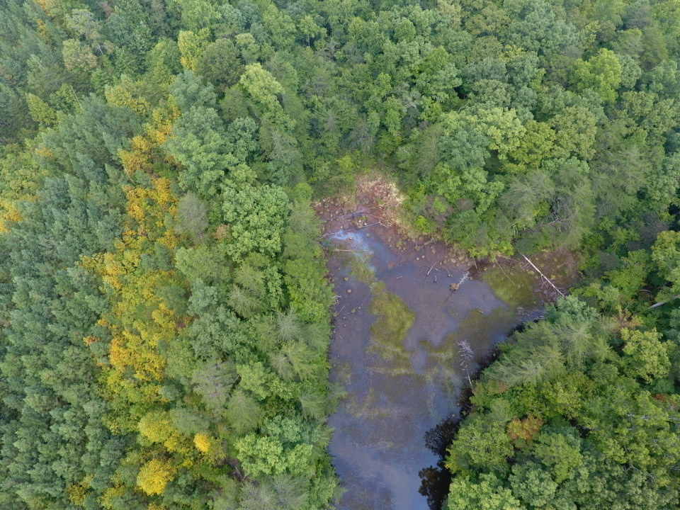 drone bog